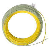 Double Color 2 Welded Loops Weight Forward FLOATING 100FT Fly Fishing Line